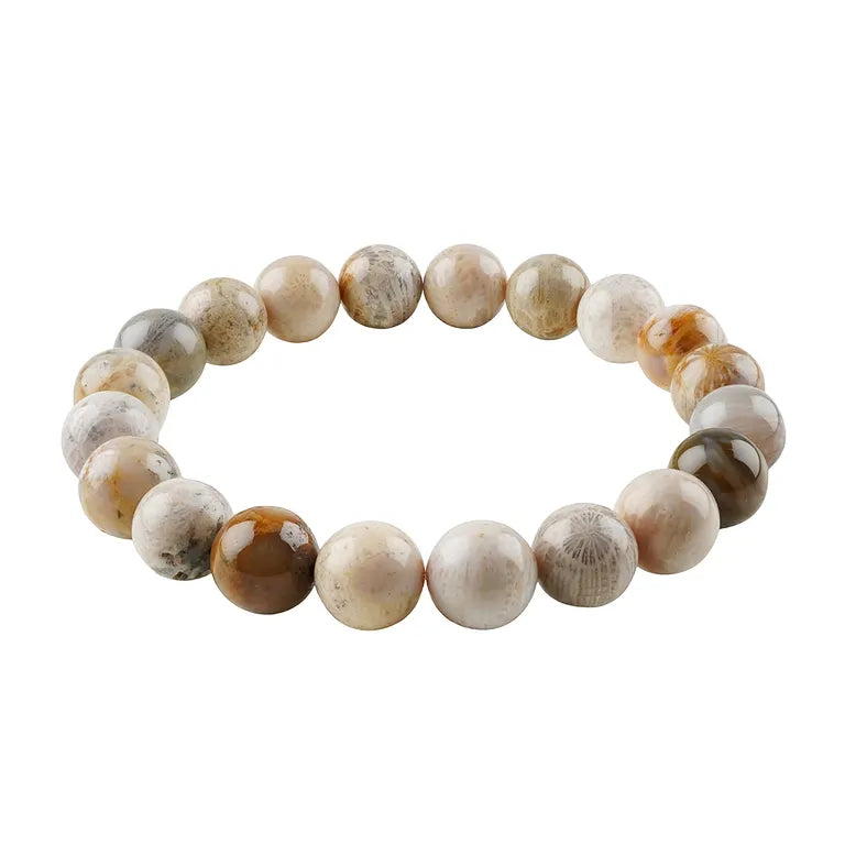 Versteinerte Koralle Edelstein-Armband – Fossile Urkraft